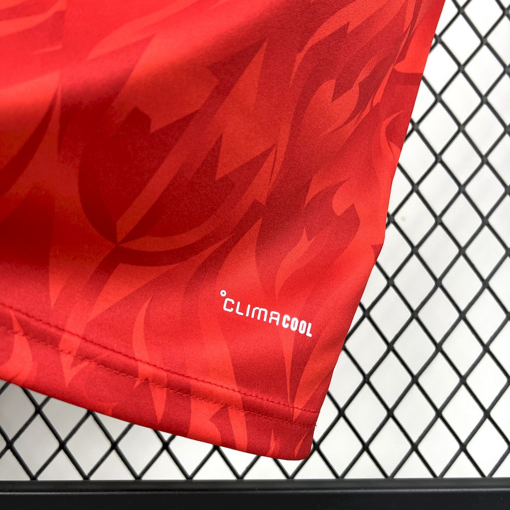 Camisa Oficial Da Bélgica Para Copa Do Mundo de 2026 (Masculina)