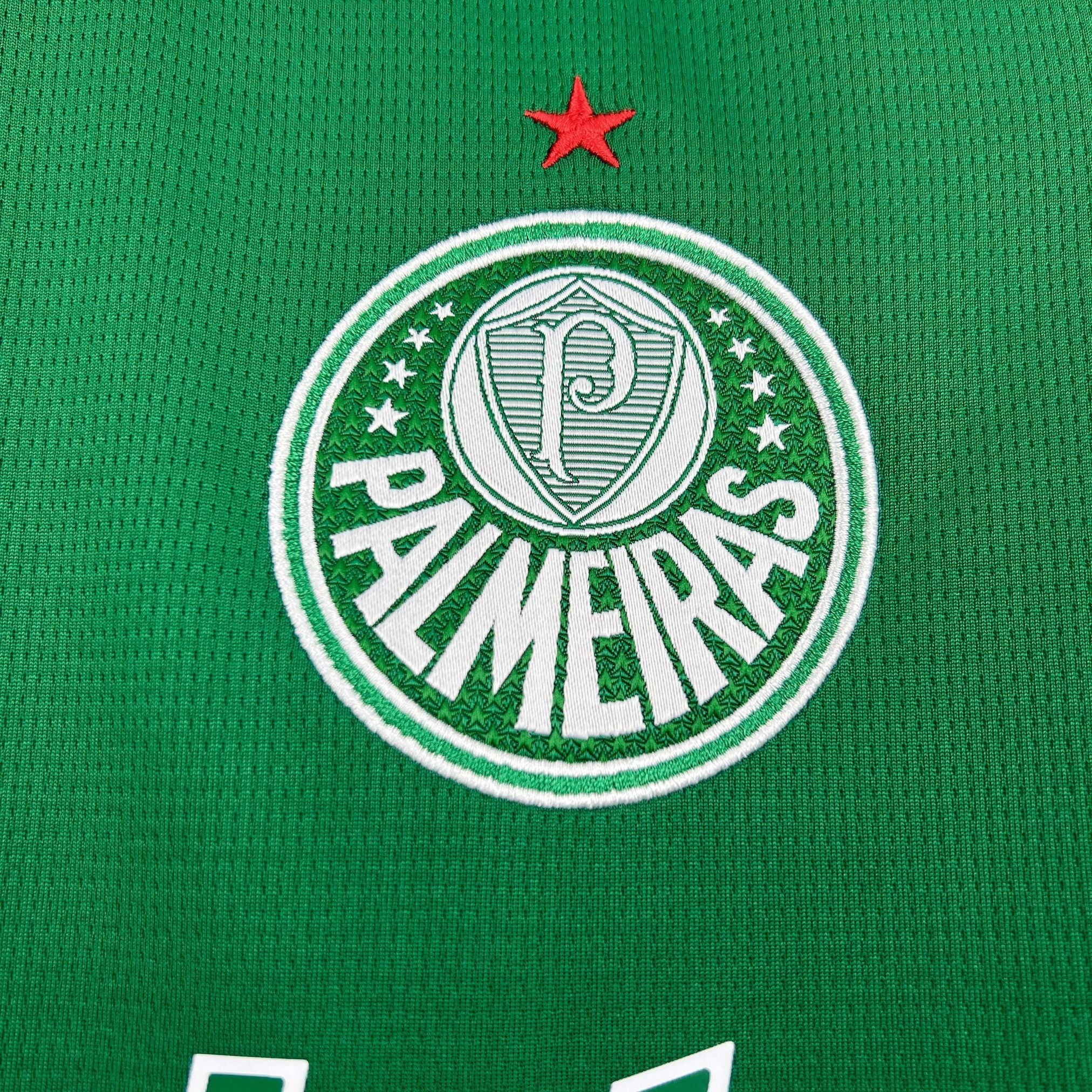 Camisa Palmeiras Imponente 27º Paulistão - Torcedor Feminino I
