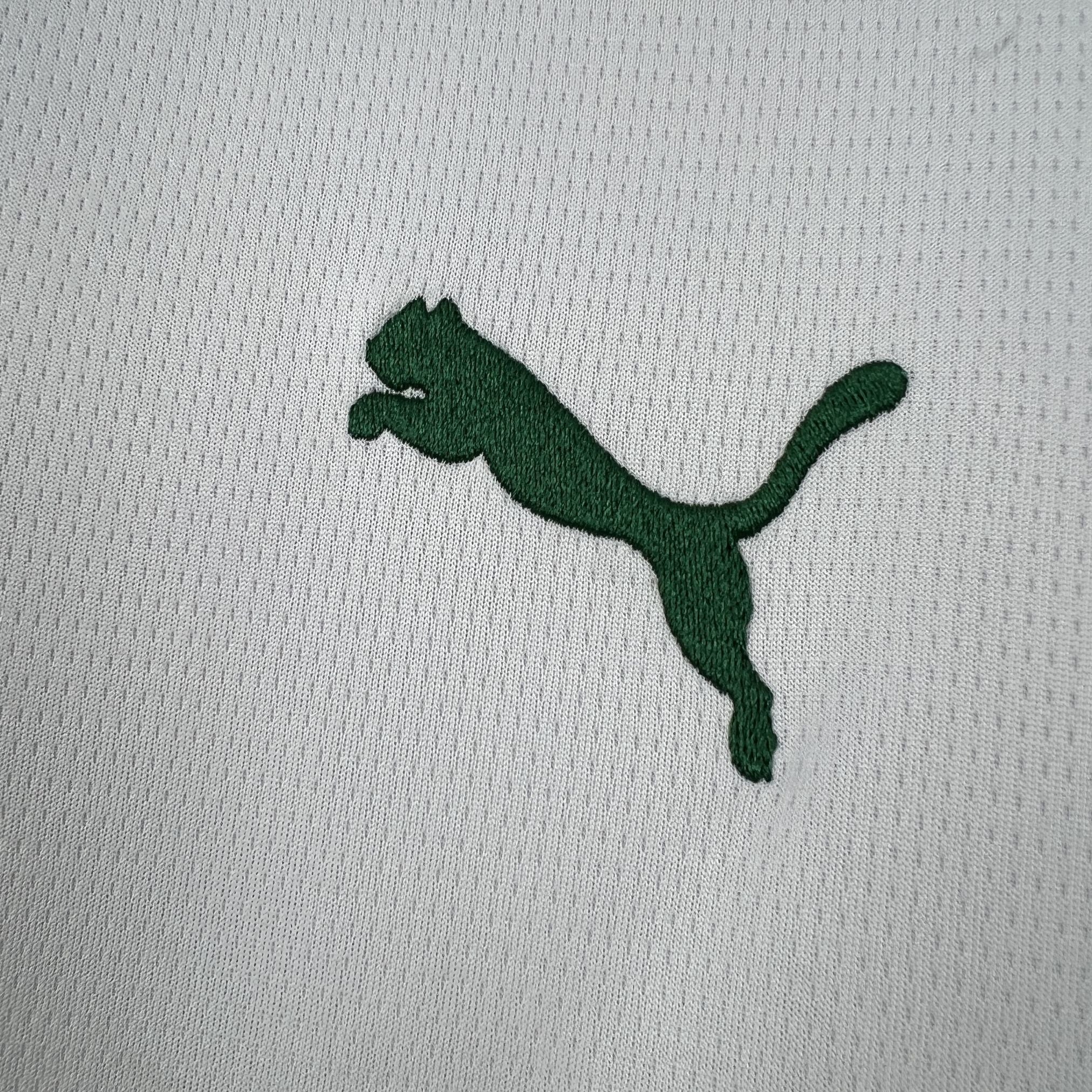 Camisa Palmeiras Puma II 26/27 Torcedor