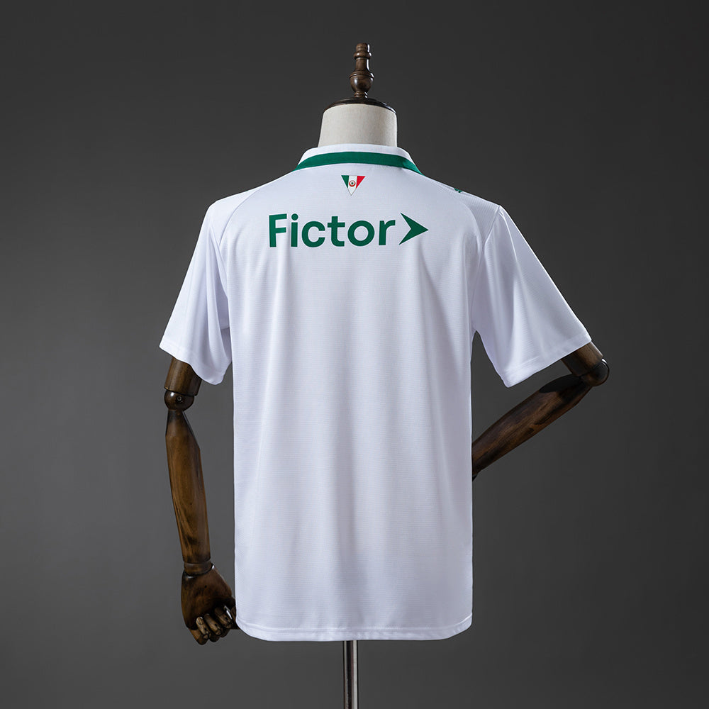 Camisa Palmeiras Puma II 26/27 Torcedor