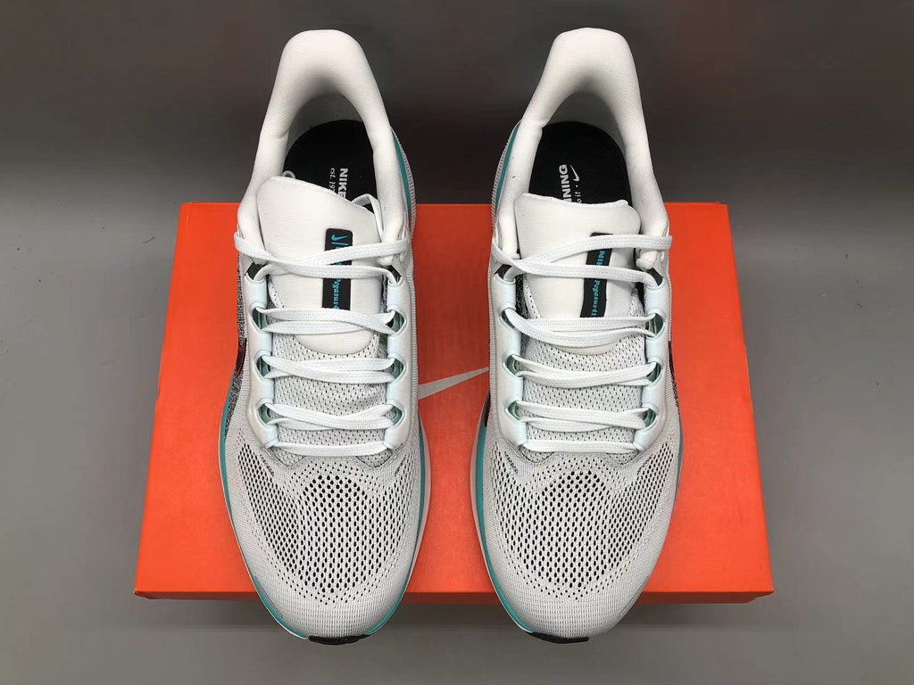 Tênis Nike Pegasus 41