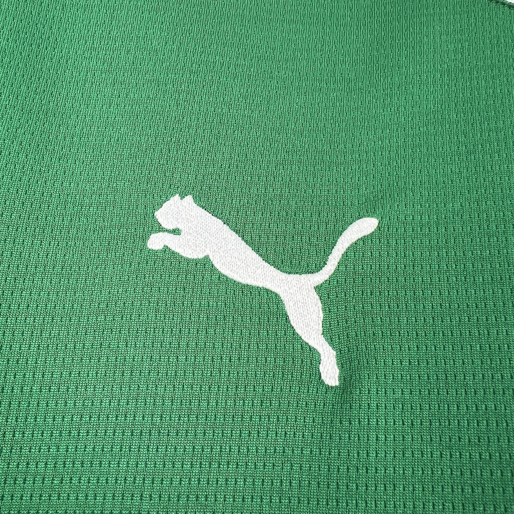 Camisa Palmeiras Imponente 27º Paulistão - Torcedor I